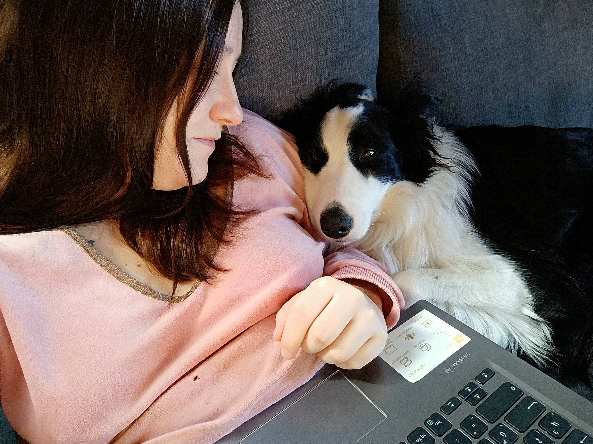 Spouk participe au concours pour gagner de l'argent avec cette photo : border_collie, carnivore, comfort, companion_dog, computer, dog, dog_breed, eyelash, fur, gadget, happy, input_device, laptop, netbook, office_supplies, peripheral, personal_computer, portable_communications_device, sitting, space_bar