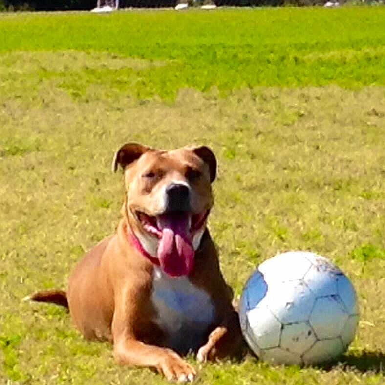 Bella is registered to the contest to win money with this photo: