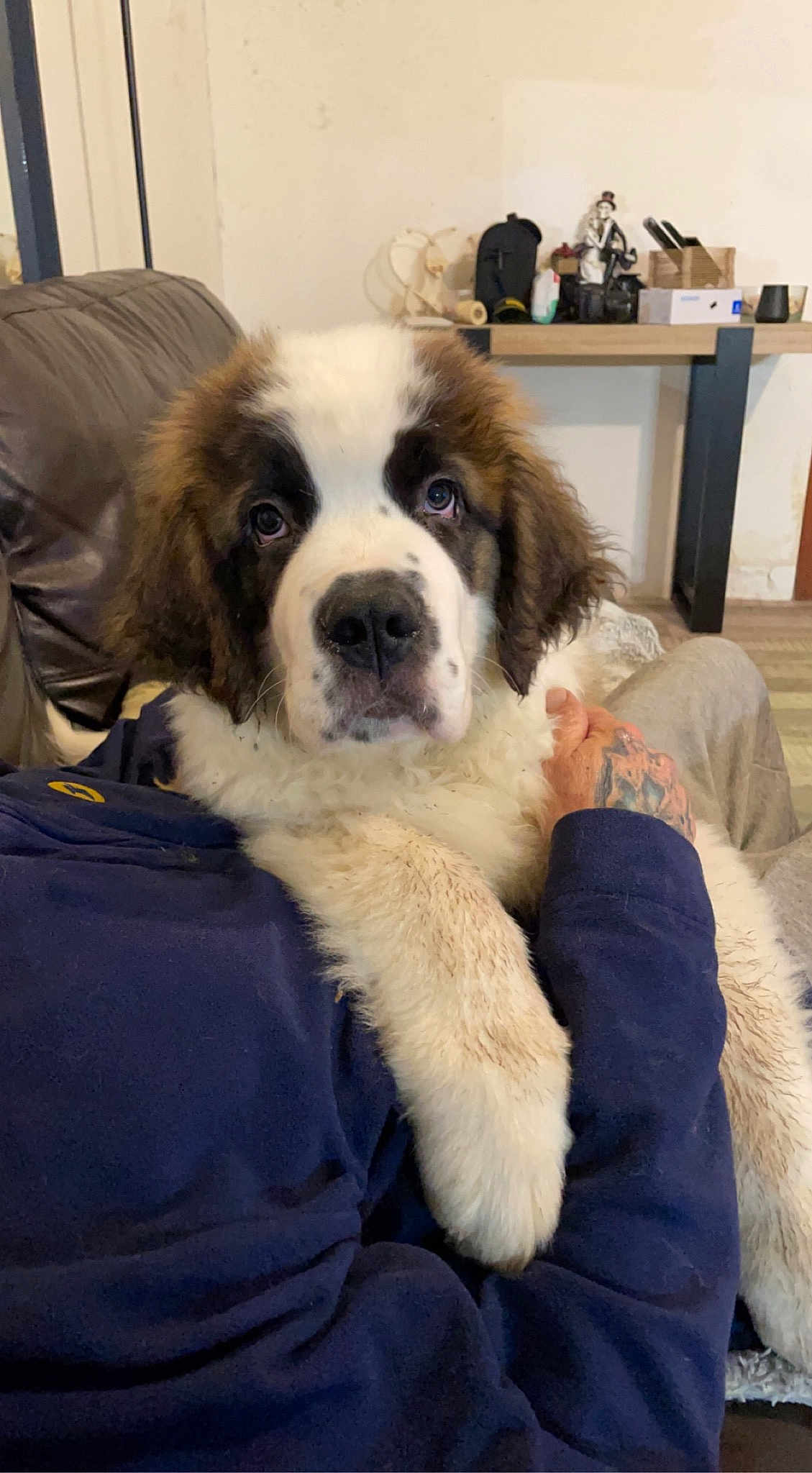 Oscar