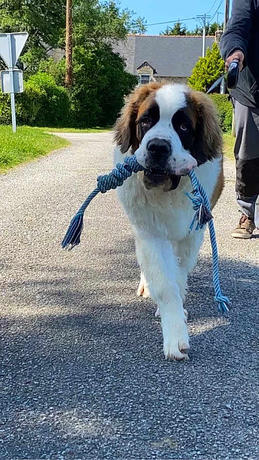 Oscar
