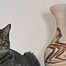 cat, tabby_cat, pet, animal, feline, portrait, sitting, indoors, vase, decorative_vase, ceramic, home_decor, wall, still_life, whiskers, fur, ears, eyes, neutral_expression, photography