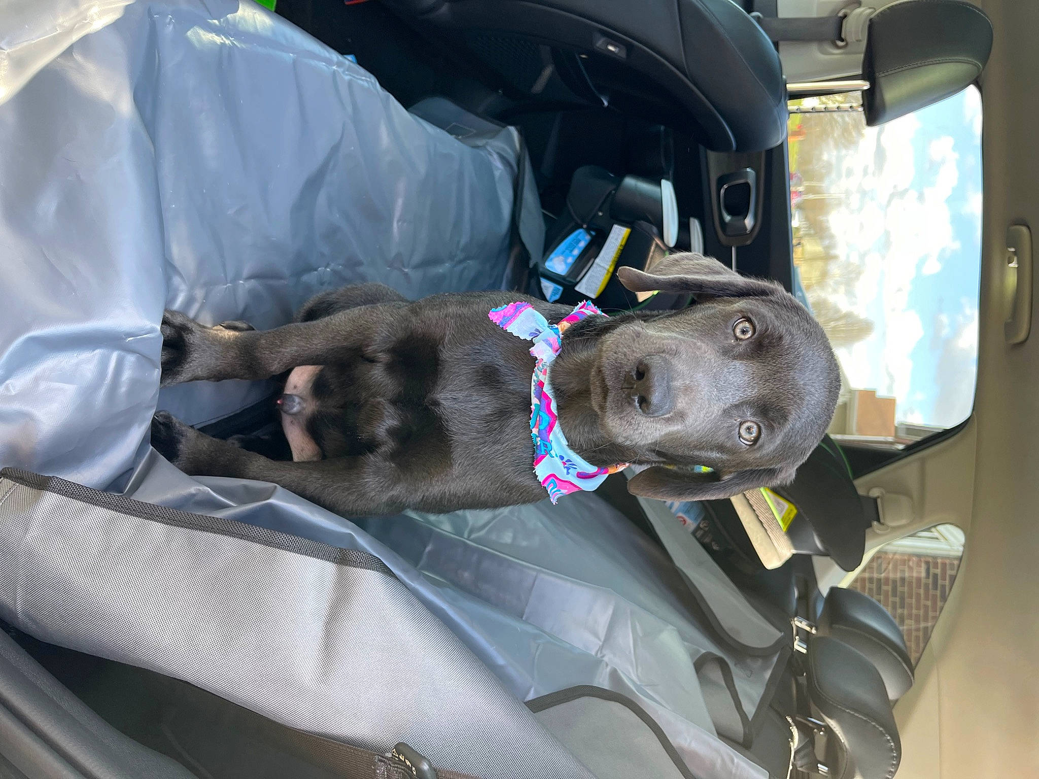 Ovechkin joined the competition — help win amazing prizes! auto_part, automotive_design, automotive_exterior, automotive_mirror, automotive_window_part, bumper, car, car_seat, car_seat_cover, carnivore, dog, family_car, helmet, land_vehicle, motor_vehicle, steering_wheel, trunk, vehicle, vehicle_door, windshield
