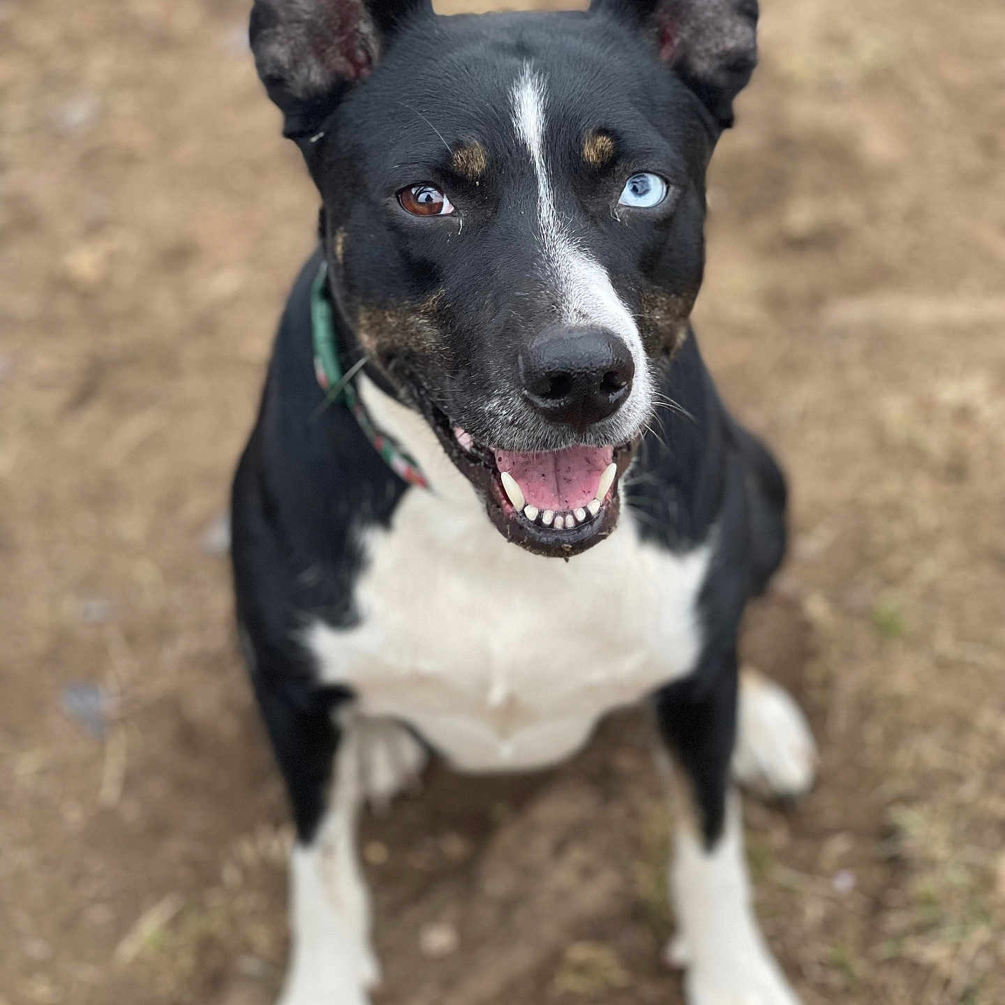 Zoe
