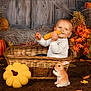 Camille participe au concours pour gagner de l'argent avec cette photo : baby, basket, corn, pumpkin, autumn, fall_leaves, plush_toy, bunny, wicker, child, smiling, seasonal, decor, orange, brown, indoor, cute, harvest, holiday, festive