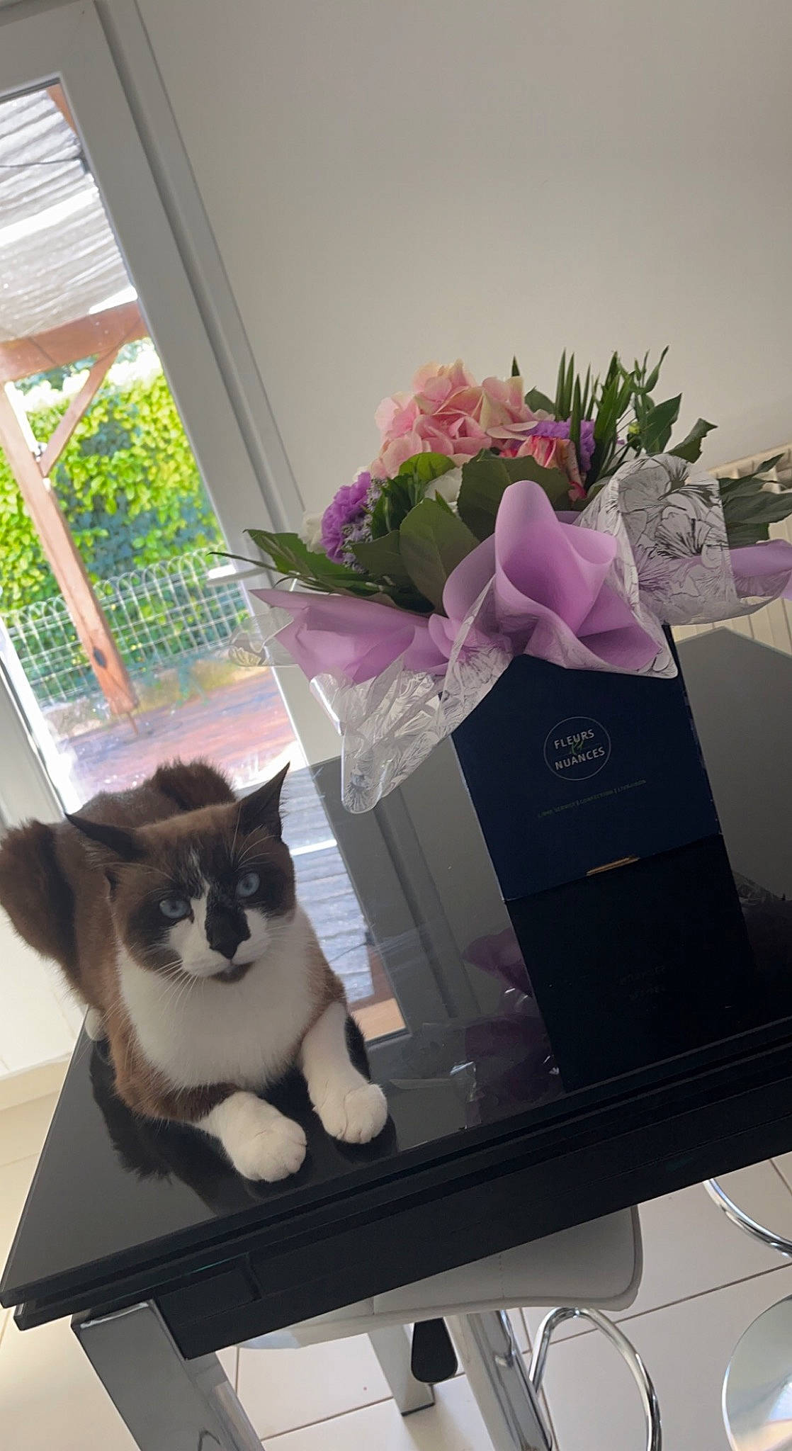 Simba participe au concours pour gagner de l'argent avec cette photo : artificial_flower, bouquet, carnivore, cat, cut_flowers, domestic_short_haired_cat, event, felidae, flower, flower_arranging, magenta, petal, plant, purple, small_to_medium_sized_cats, table, tail, tree, whiskers, window