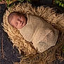 newborn, baby, swaddled, sleeping, blanket, wrap, wooden_bowl, fluffy, soft_texture, infant, peaceful, portrait, greenery, natural_light, cozy, resting, closeup, cute, indoors, serene