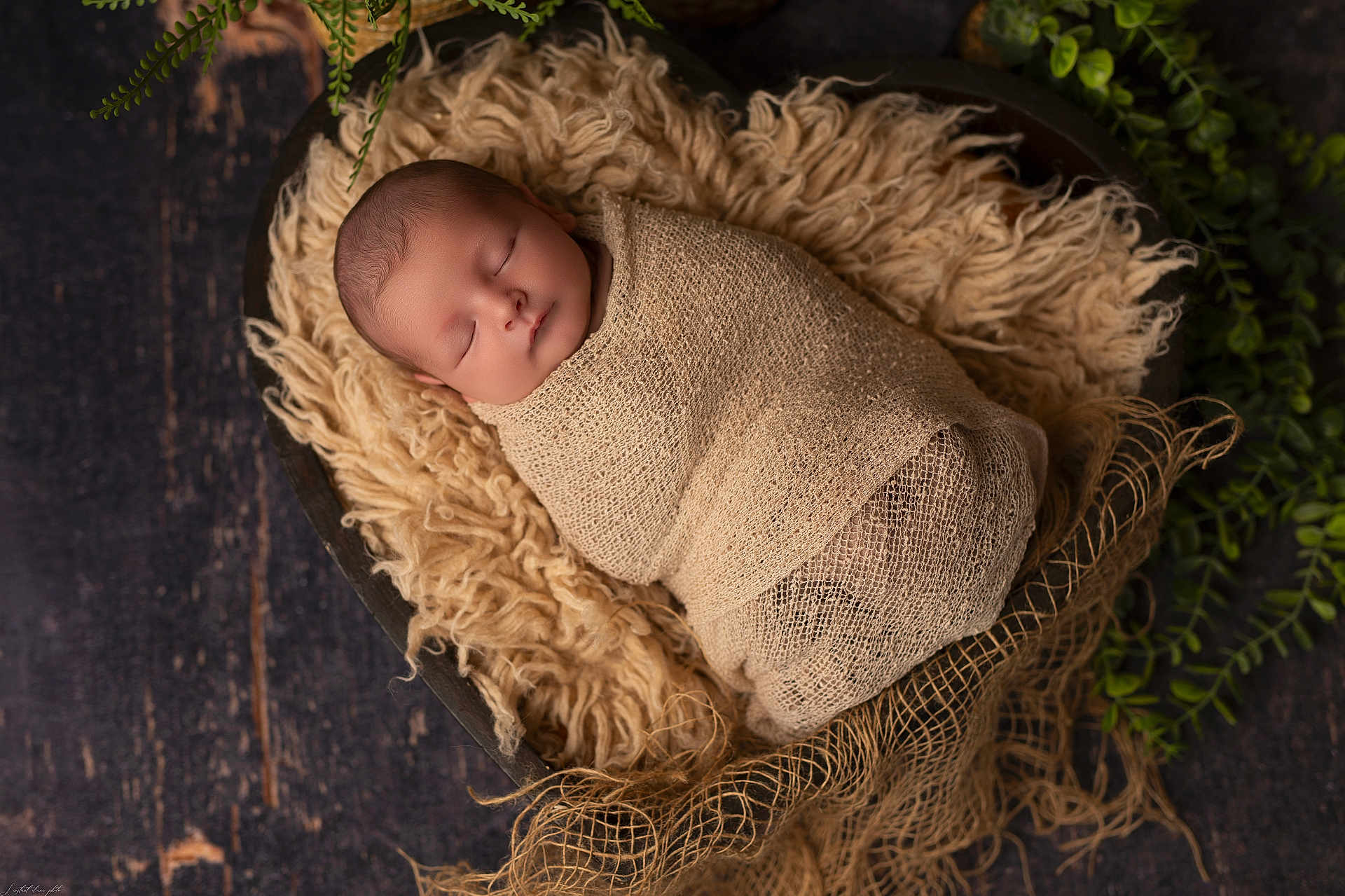 Emilio a rejoint le concours — aidez-le/la à gagner de superbes lots ! newborn, baby, swaddled, sleeping, blanket, wrap, wooden_bowl, fluffy, soft_texture, infant, peaceful, portrait, greenery, natural_light, cozy, resting, closeup, cute, indoors, serene