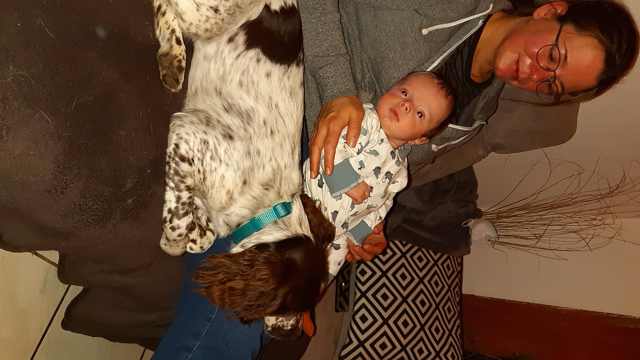 Rafaël participe au concours pour gagner de l'argent avec cette photo : adaptation, baby, child, event, fashion_accessory, fun, fur, happy, hug, human_body, luggage_and_bags, organism, pattern, person, room, sitting, smile, toddler, tradition, tree