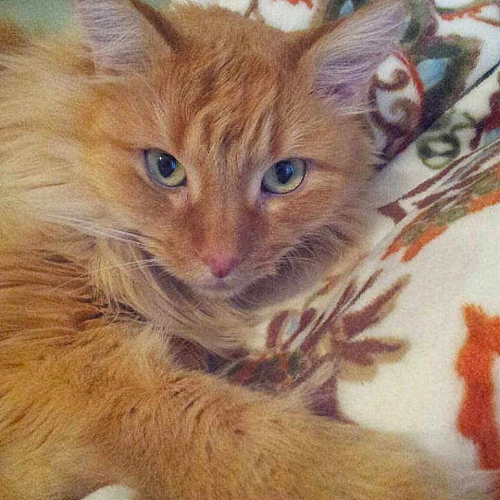 Maggie