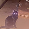 Riot is registered to the contest to win money with this photo: cat, black_cat, animal, pet, sitting, indoors, hallway, floor, tile_floor, glowing_eyes, flash_photography, dark, red_toy_car, toy_vehicle, home, interior, tail, pointed_ears, portrait, shadow