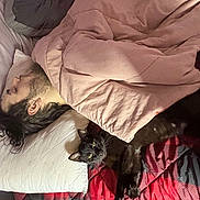 Hellboy is registered to the contest to win money with this photo: person, sleeping, bed, blanket, pillow, cat, black_cat, quilt, red, black, indoor, cozy, rest, feline, pet, relaxation, curious, animal, human, side_view