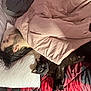 person, sleeping, bed, blanket, pillow, cat, black_cat, quilt, red, black, indoor, cozy, rest, feline, pet, relaxation, curious, animal, human, side_view
