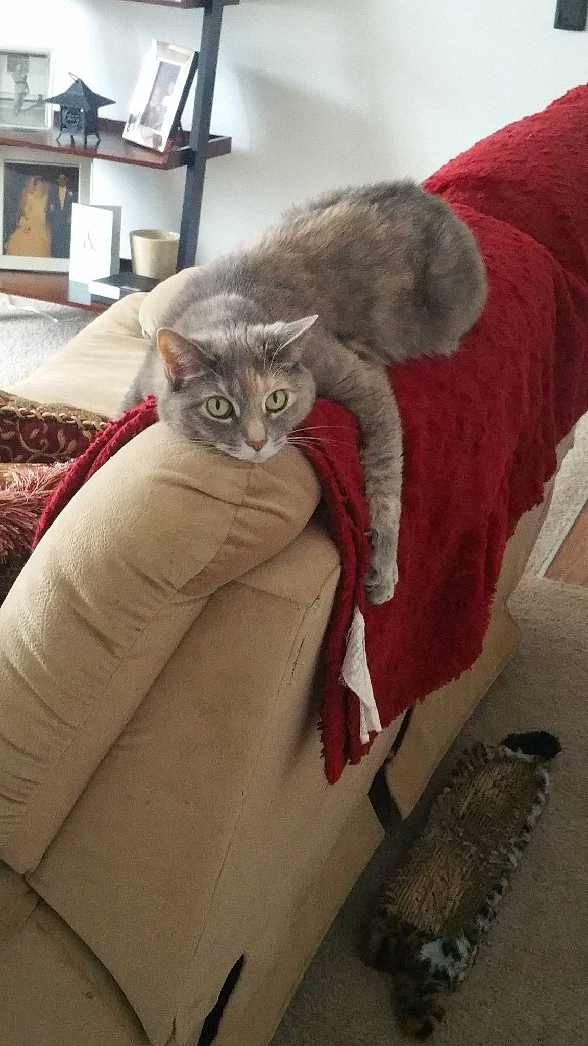 Bella
