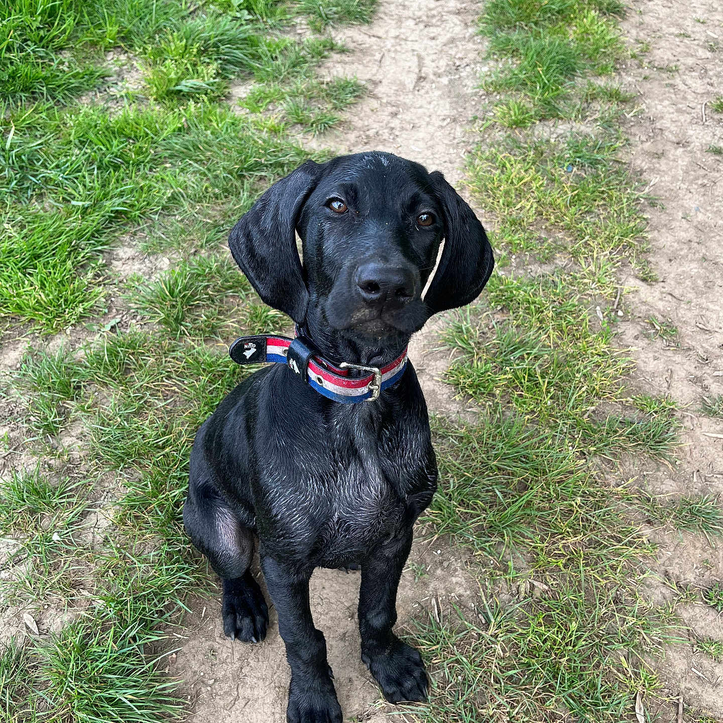 Bracko