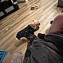 black_outfit, blanket, casual, clothing, cozy, dog, door, floor, furniture, home_interior, indoor, legs, person, puppy, relaxed, slippers, small_dog, tattoo, trash_can, wooden_floor