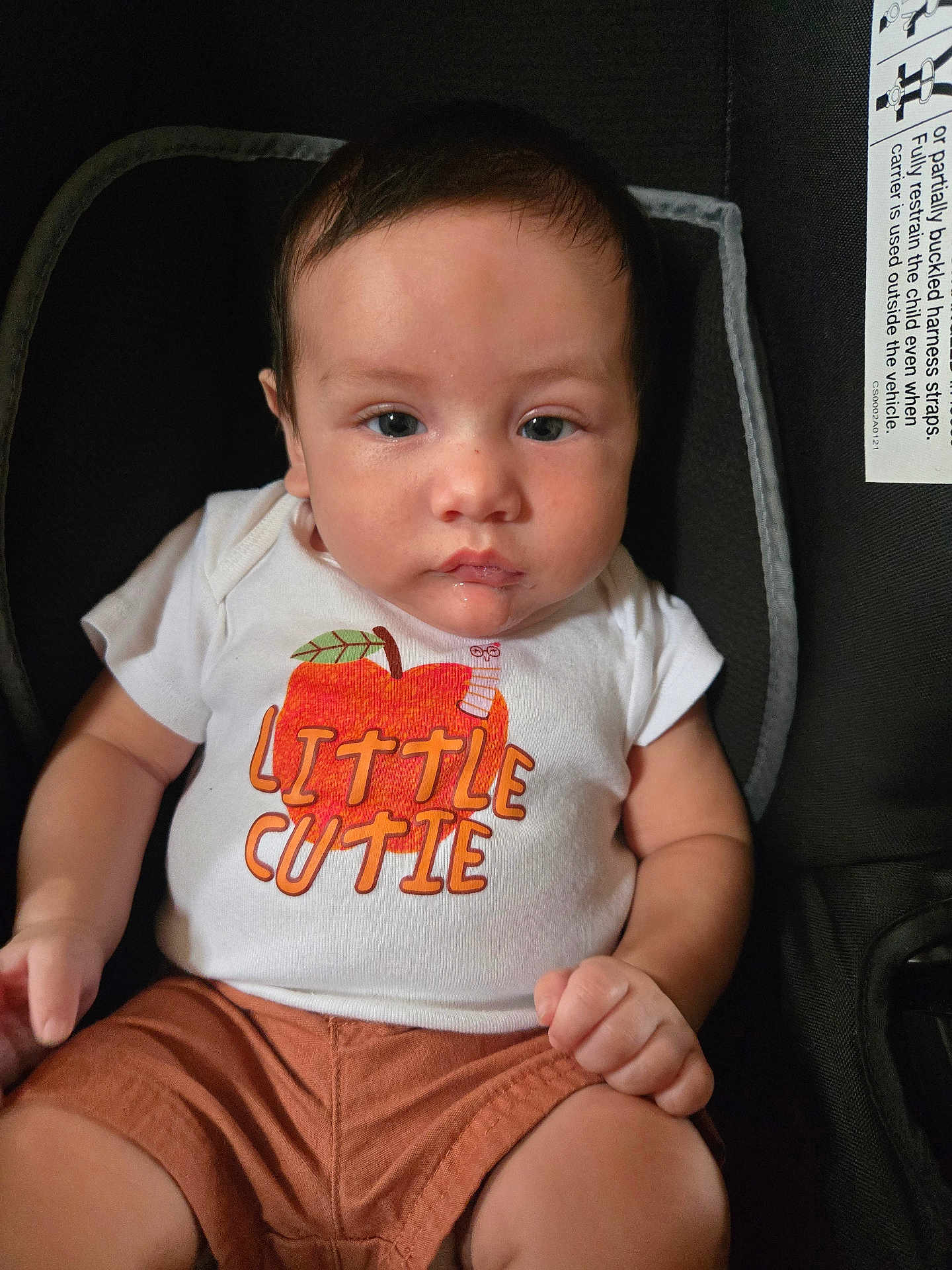 Nicolas is registered to the contest to win money with this photo: baby, infant, child, car_seat, clothing, shirt, shorts, face, person, sitting, drool, cute, young, indoors, black_background, expressionless, head, skin, eyes, hands