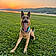 Roxy