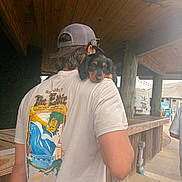 Tucker is registered to the contest to win money with this photo: puppy, dog, person, back, shoulder, cap, tshirt, graphic_tshirt, outdoor, wood, rustic, building, table, curious, black_dog, tan_dog, animal, young_adult, casual, daylight