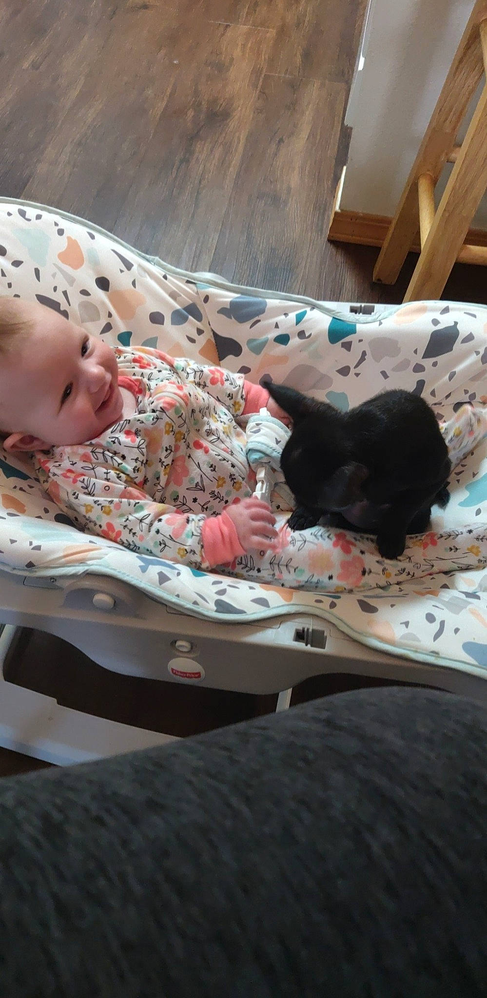 Kaia is registered to the contest to win money with this photo: baby, carnivore, cat, child, comfort, couch, felidae, fur, lap, linens, mammal, nap, room, sitting, sleep, small_to_medium_sized_cats, smile, textile, toddler, whiskers
