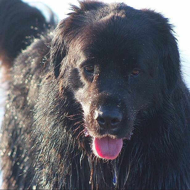 Bryn joined the competition — help win amazing prizes!