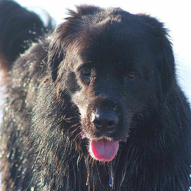 Bryn