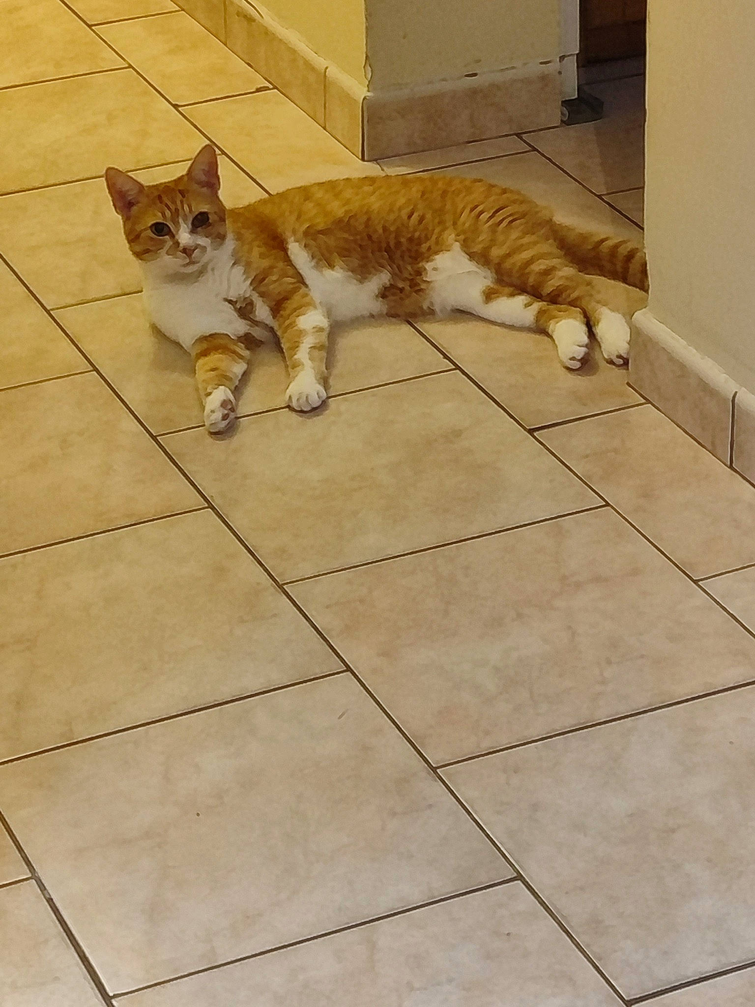 Figaro