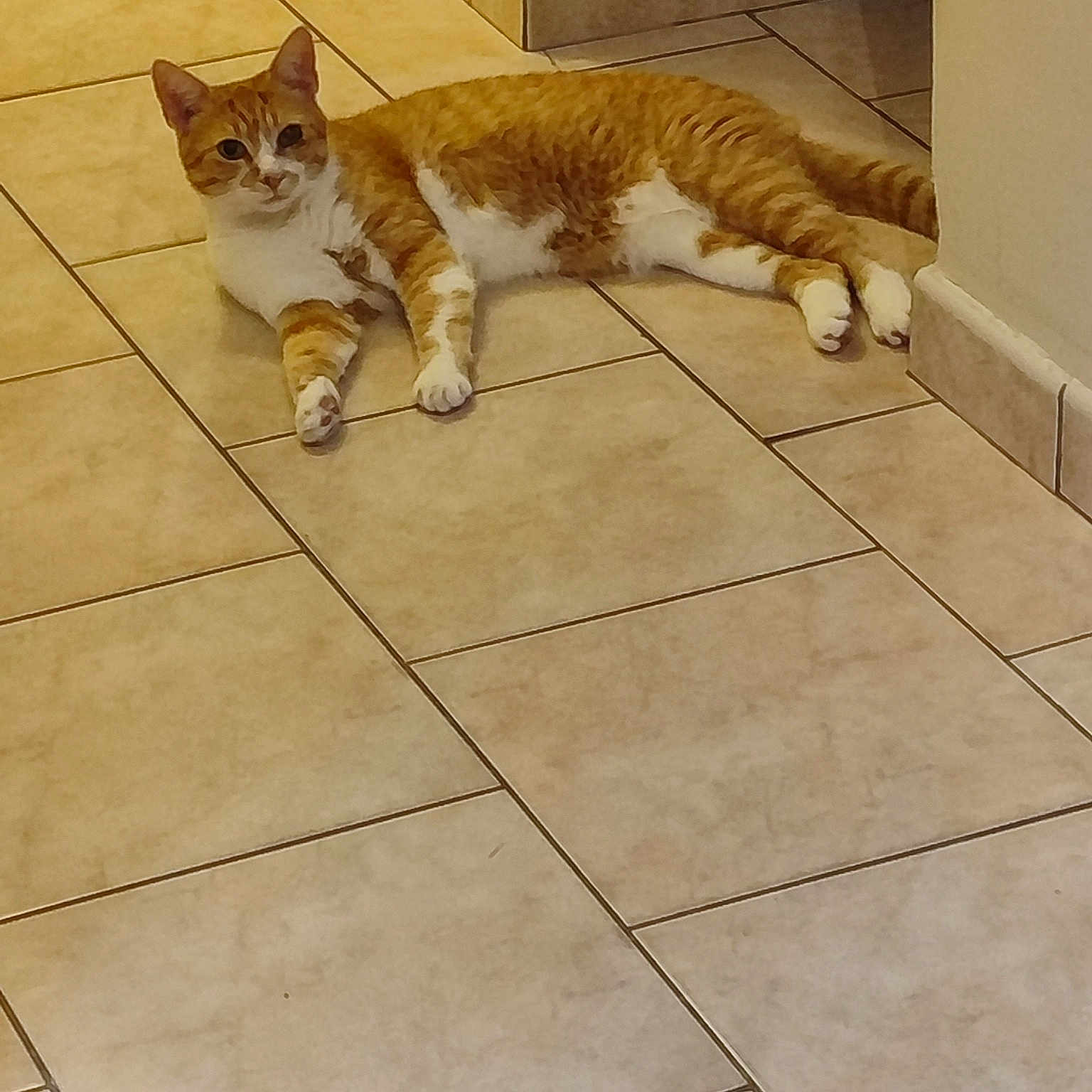 Figaro