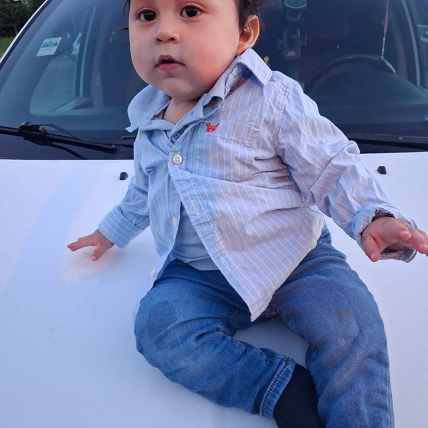 Jose Angel Valencia is registered to the contest to win money with this photo: child, toddler, baby, portrait, outdoor, car, vehicle, white_car, hood, sitting, curious, face, eyes, hair, shirt, striped_shirt, jeans, clothing, windshield, trees