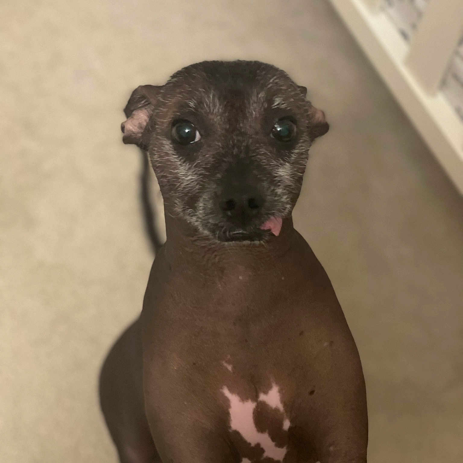 Luna