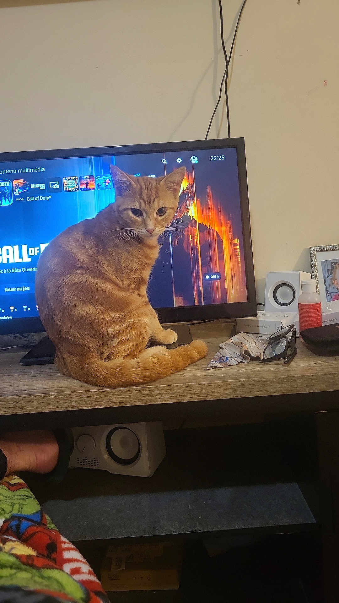 Simba participe au concours pour gagner de l'argent avec cette photo : cat, orange_tabby, television, video_game, desk, glasses, speaker, bottle, photo_frame, blanket, foot, indoor, wooden_surface, curious_cat, electronics, screen, gaming, pet, feline, home