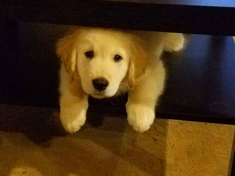 Charlie