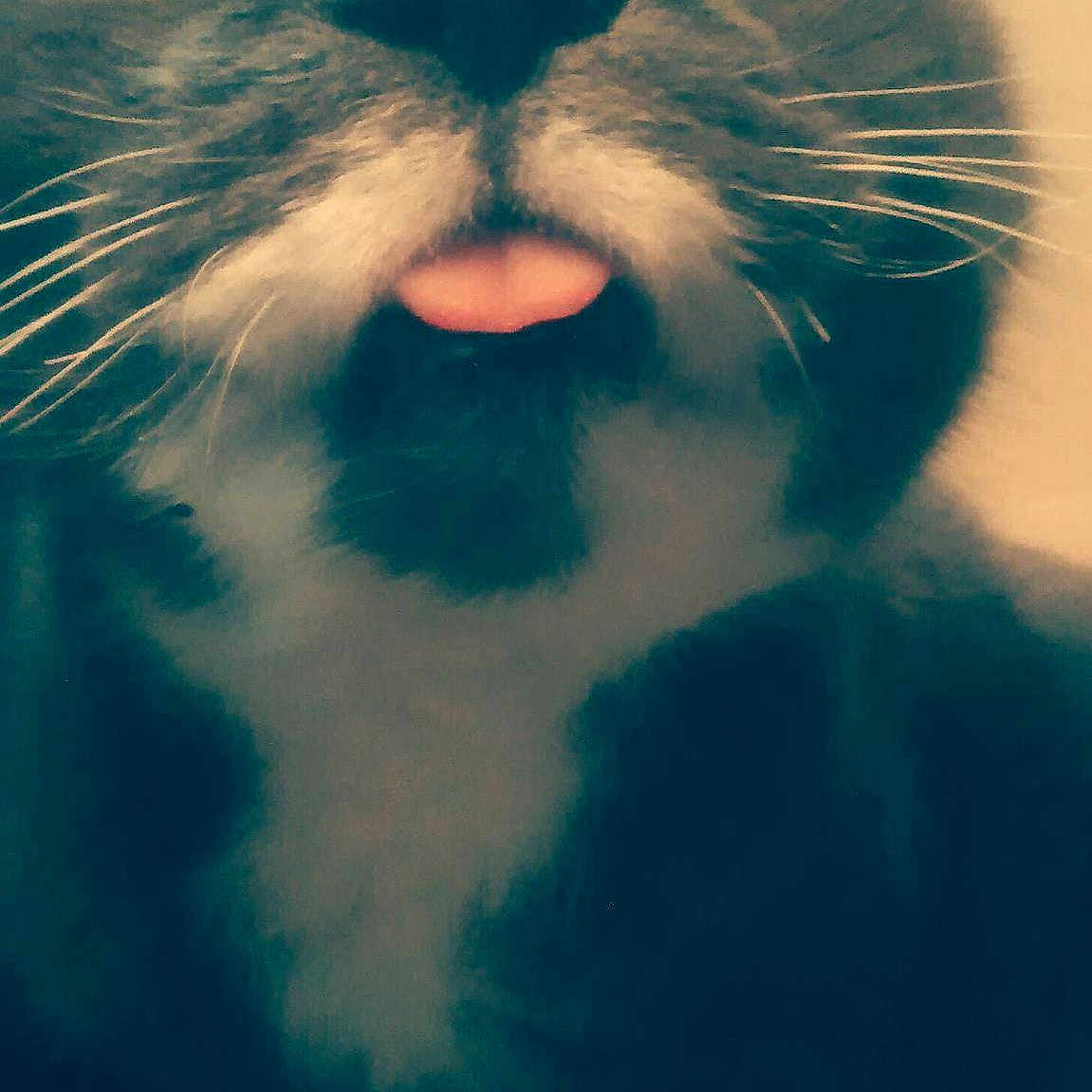 Kiki joined the competition — help win amazing prizes!