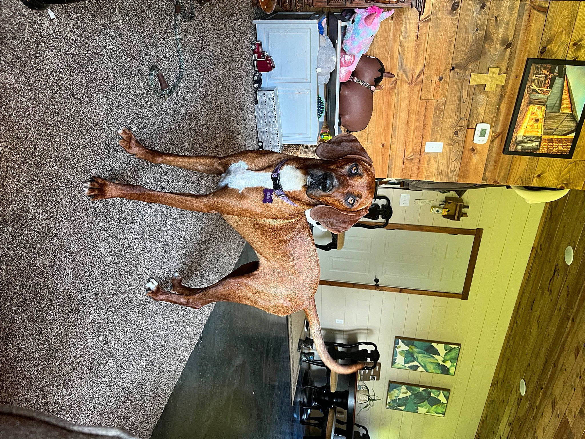 Ginny is registered to the contest to win money with this photo: art, door, fun, hardwood, human_leg, machine, metal, room, thigh, visual_arts, window, wood