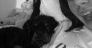 Verlaine participe au concours pour gagner de l'argent avec cette photo : animal, bed, black_and_white, black_dog, casual, cozy, cuddling, dog, face, happy, indoor, person, pet, pillow, portrait, relaxing, selfie, smiling, stuffed_animal, young_adult