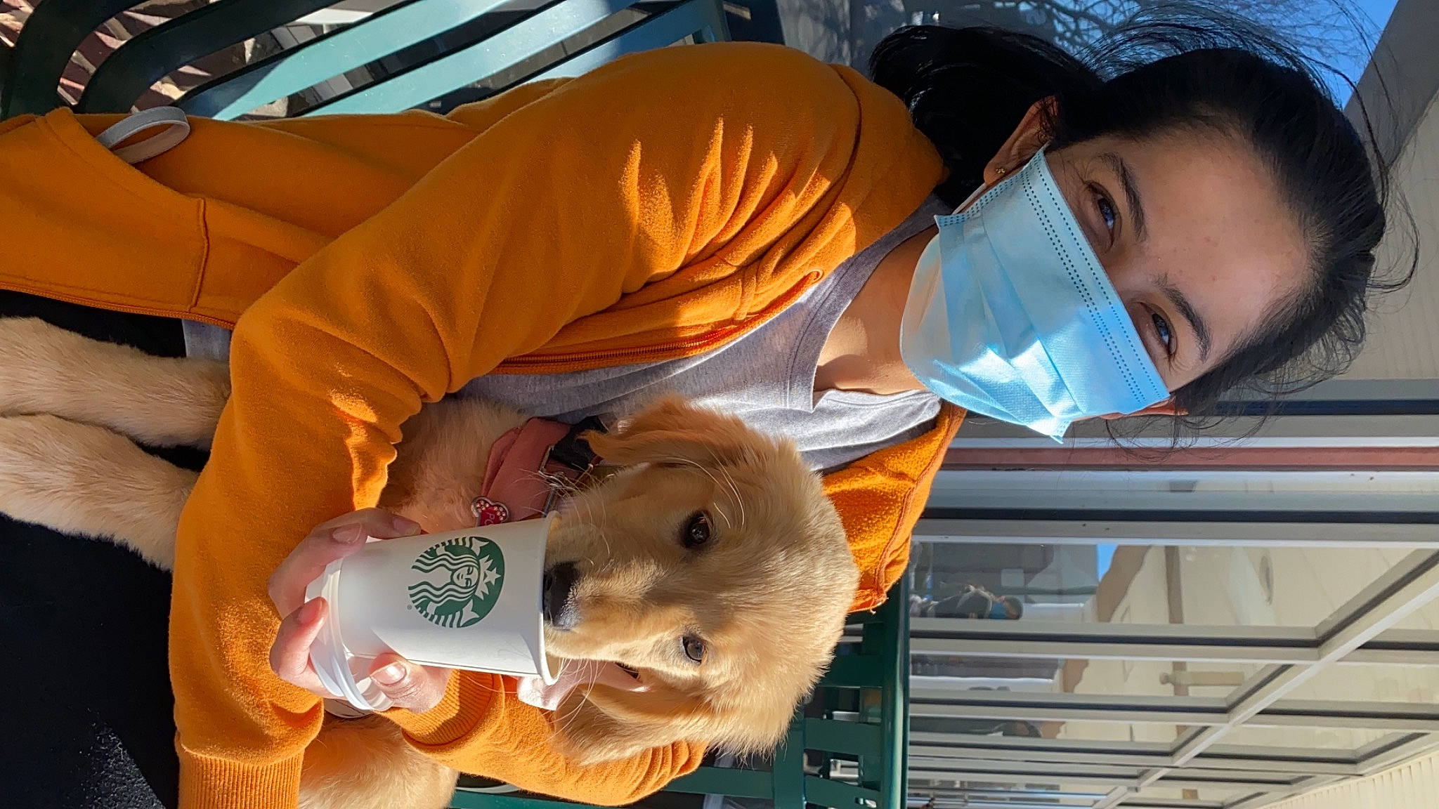 Pochi joined the competition — help win amazing prizes! canidae, child, comfort, companion_dog, dog_breed, eye, fawn, fur, guinea_pig, hamster, organ, sporting_group, stuffed_toy, toy, vertebrate