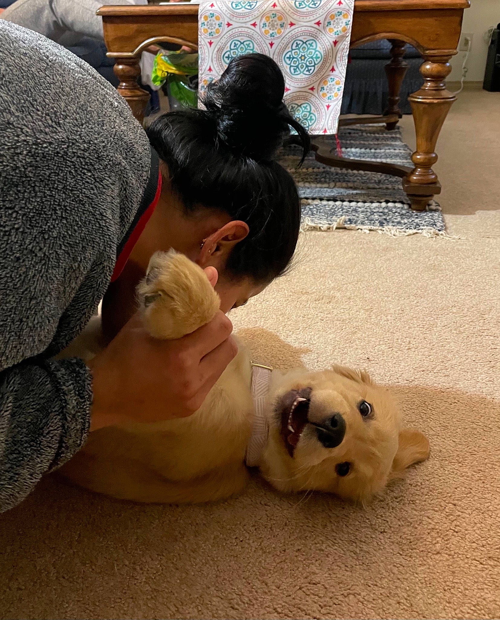 Pochi joined the competition — help win amazing prizes! carnivore, comfort, companion_dog, dog_breed, fawn, felidae, flooring, foot, fun, fur, leisure, non_sporting_group, paw, polar_bear, reptile, sand, sitting, terrestrial_animal, toy, whiskers