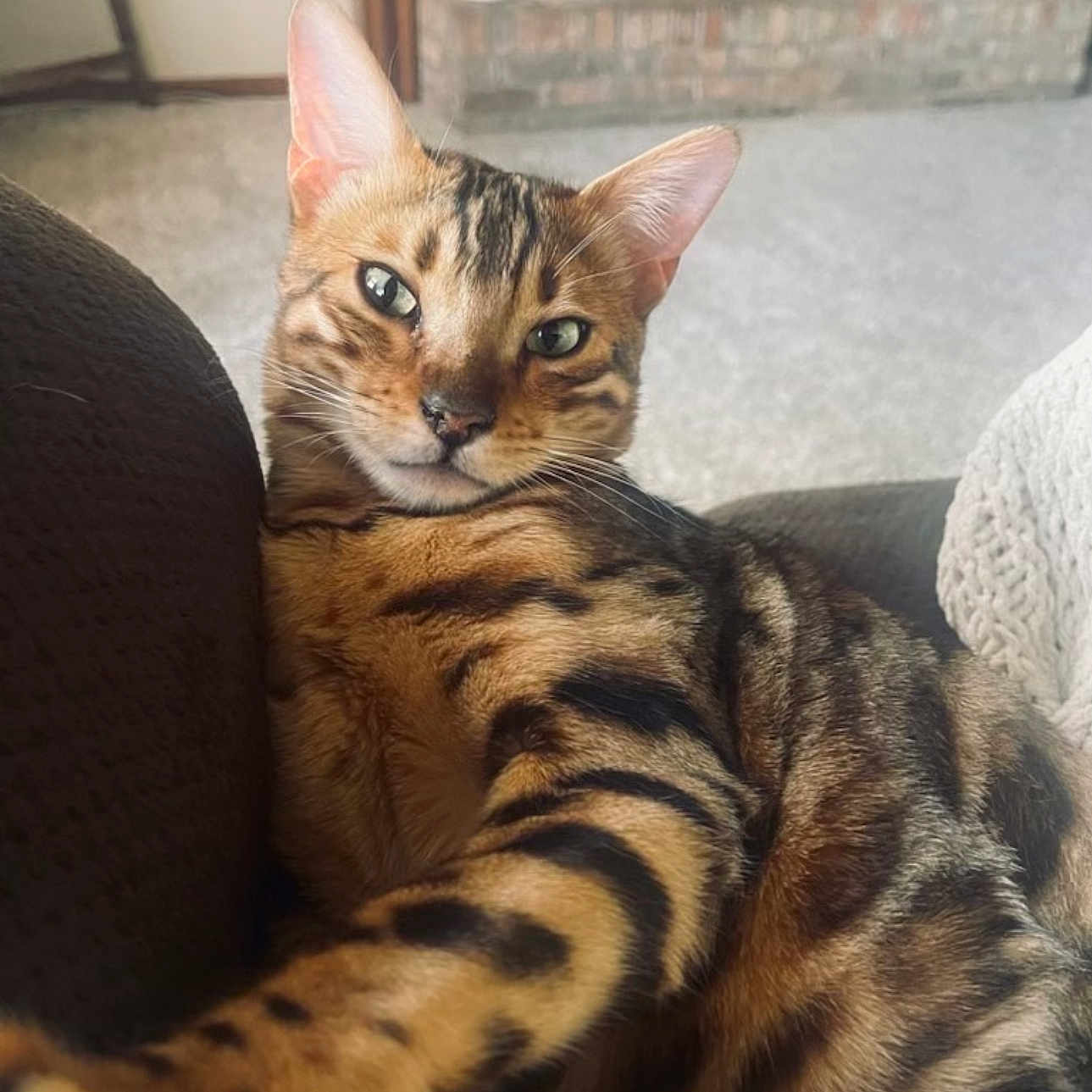 Mufasa
