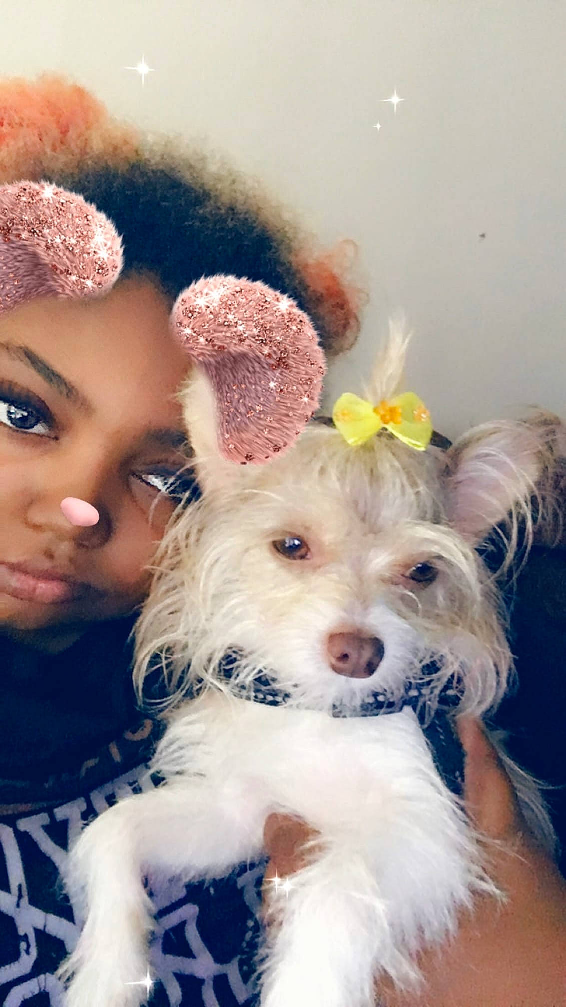 Cutie Pie is registered to the contest to win money with this photo: canidae, carnivore, chinese_crested_dog, companion_dog, dog, dog_breed, ear, fur, maltepoo, person, puppy, puppy_love, toy_dog