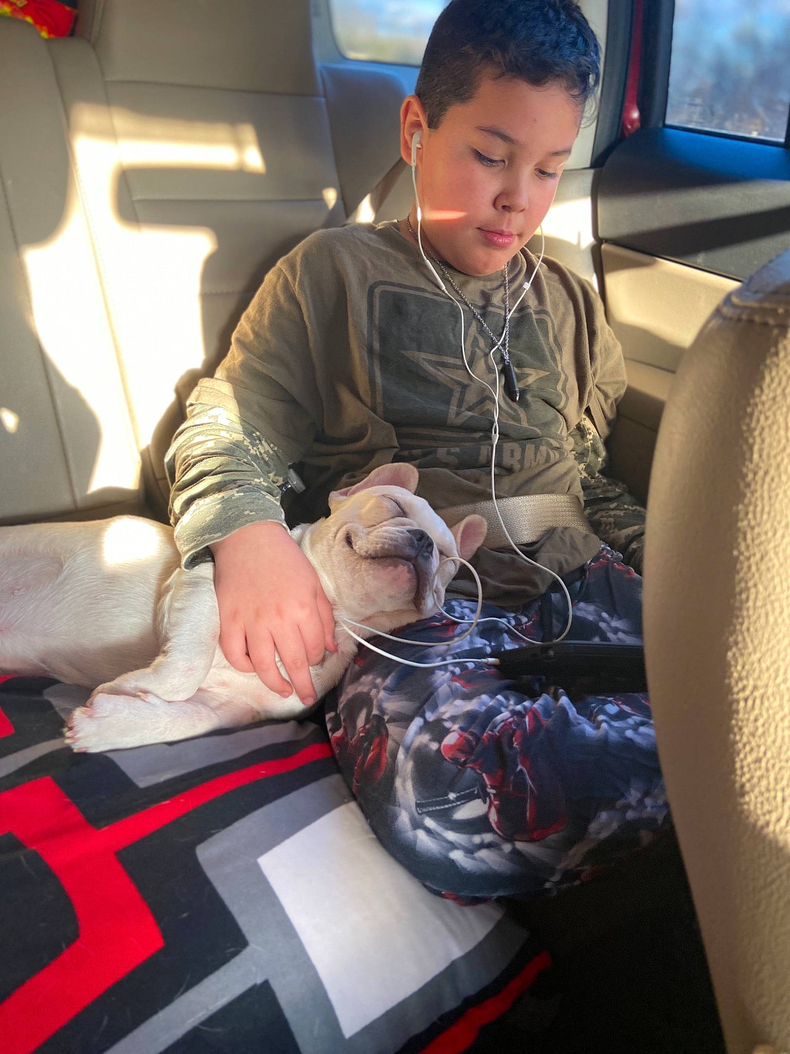 Miko Rae is registered to the contest to win money with this photo: auto_part, canidae, sporting_group