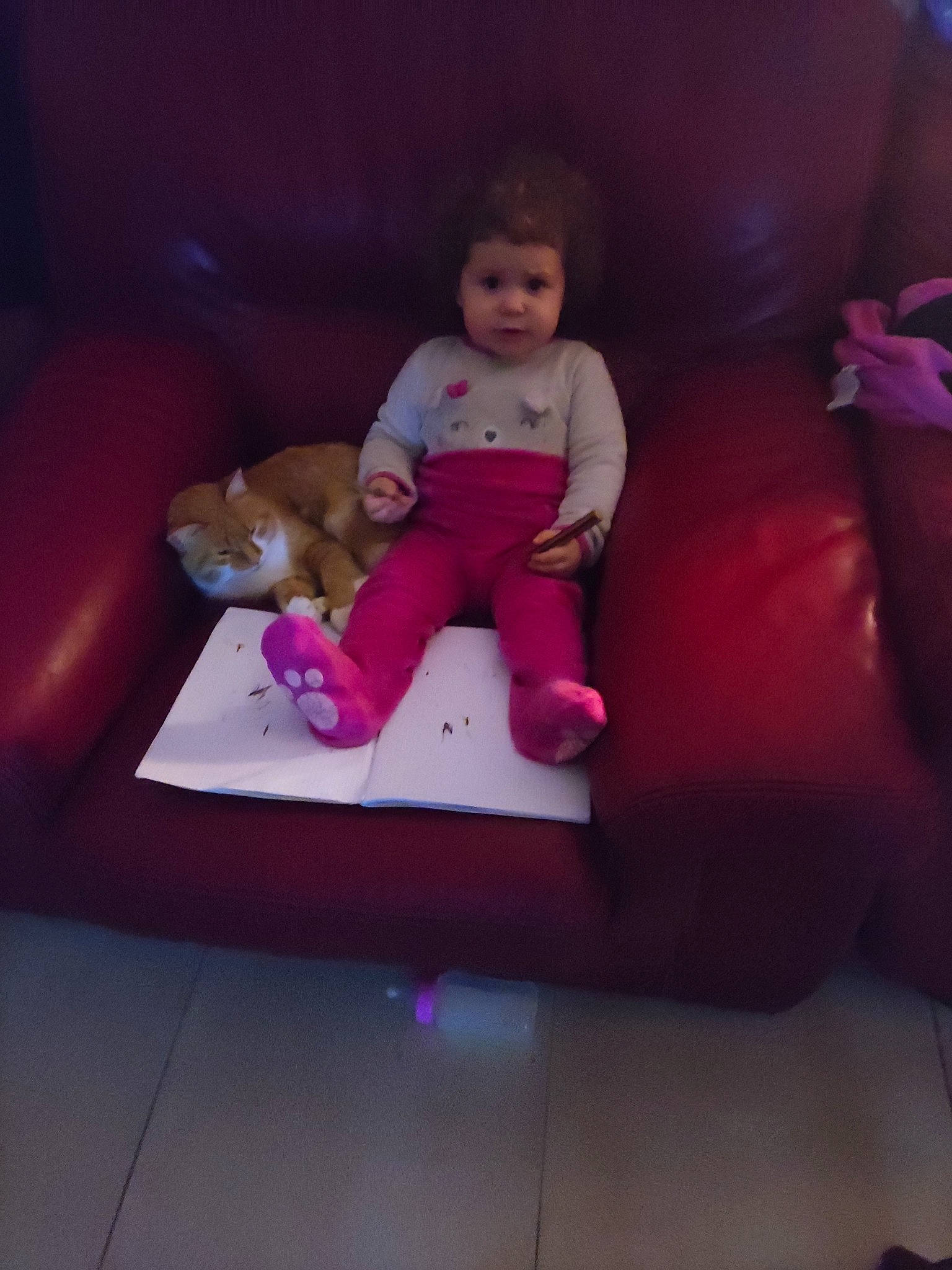 Aliya participe au concours pour gagner de l'argent avec cette photo : baby, child, comfort, companion_dog, couch, flooring, foot, fun, human_leg, lap, leisure, magenta, person, pink, purple, room, sitting, textile, toddler, toy