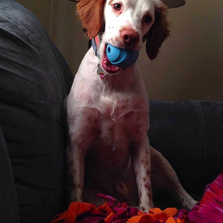 Milo joined the competition — help win amazing prizes!