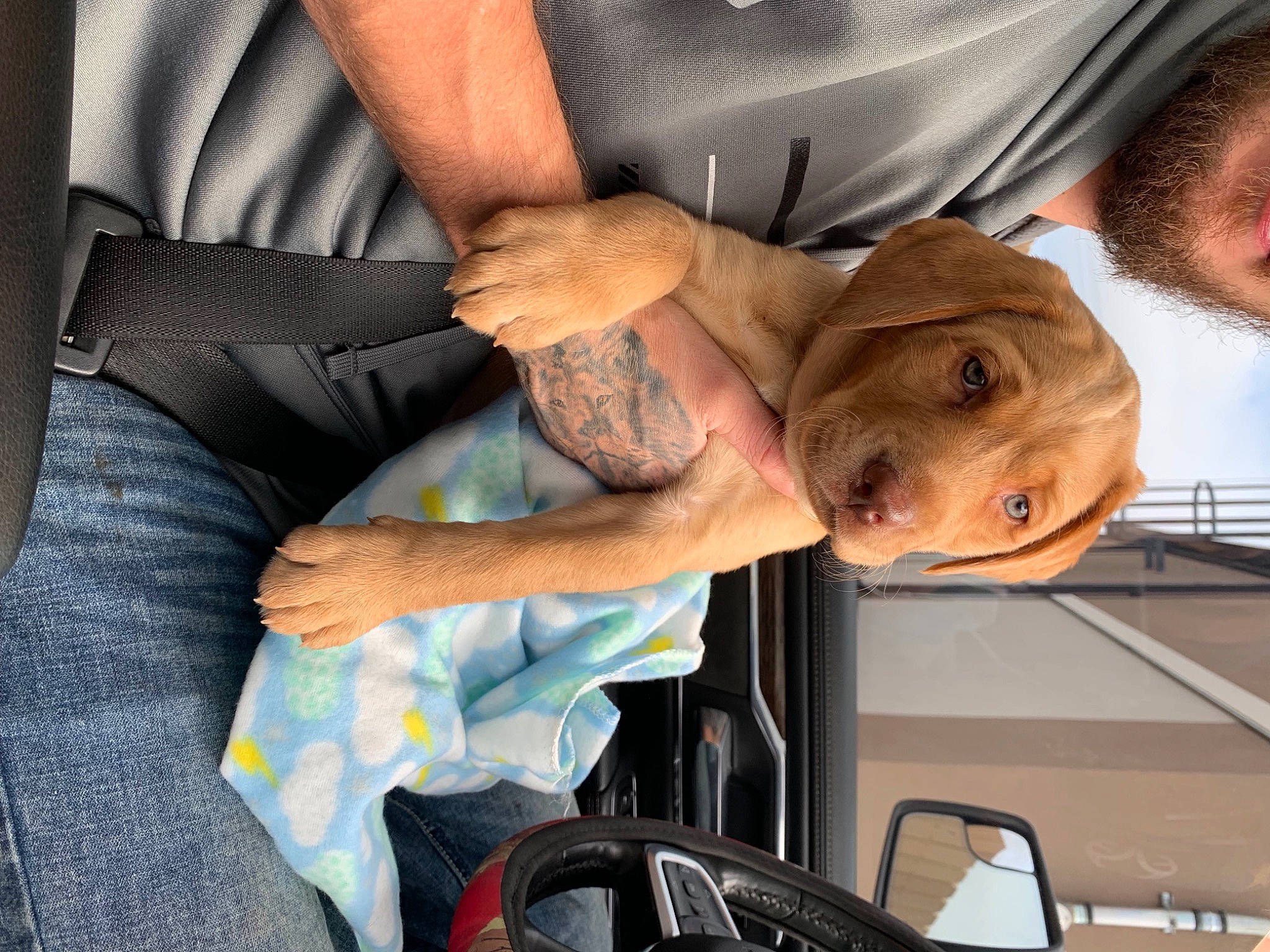 Nova joined the competition — help win amazing prizes! arm, auto_part, automotive_design, chair, comfort, dress_shirt, elbow, eyewear, family_car, formal_wear, fun, gesture, hand, motor_vehicle, nail, sitting, sleeve, sunglasses, vehicle_door, wrist