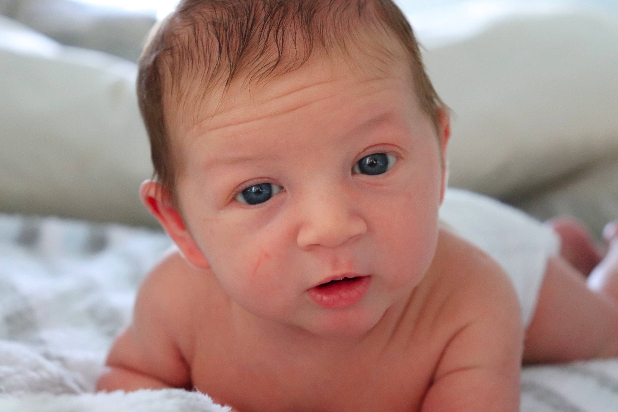 Tucker is registered to the contest to win money with this photo: baby, baby_making_funny_faces, beauty, cheek, child, chin, close_up, eye, eyebrow, face, facial_expression, forehead, head, iris, lip, mouth, nose, organ, person, skin