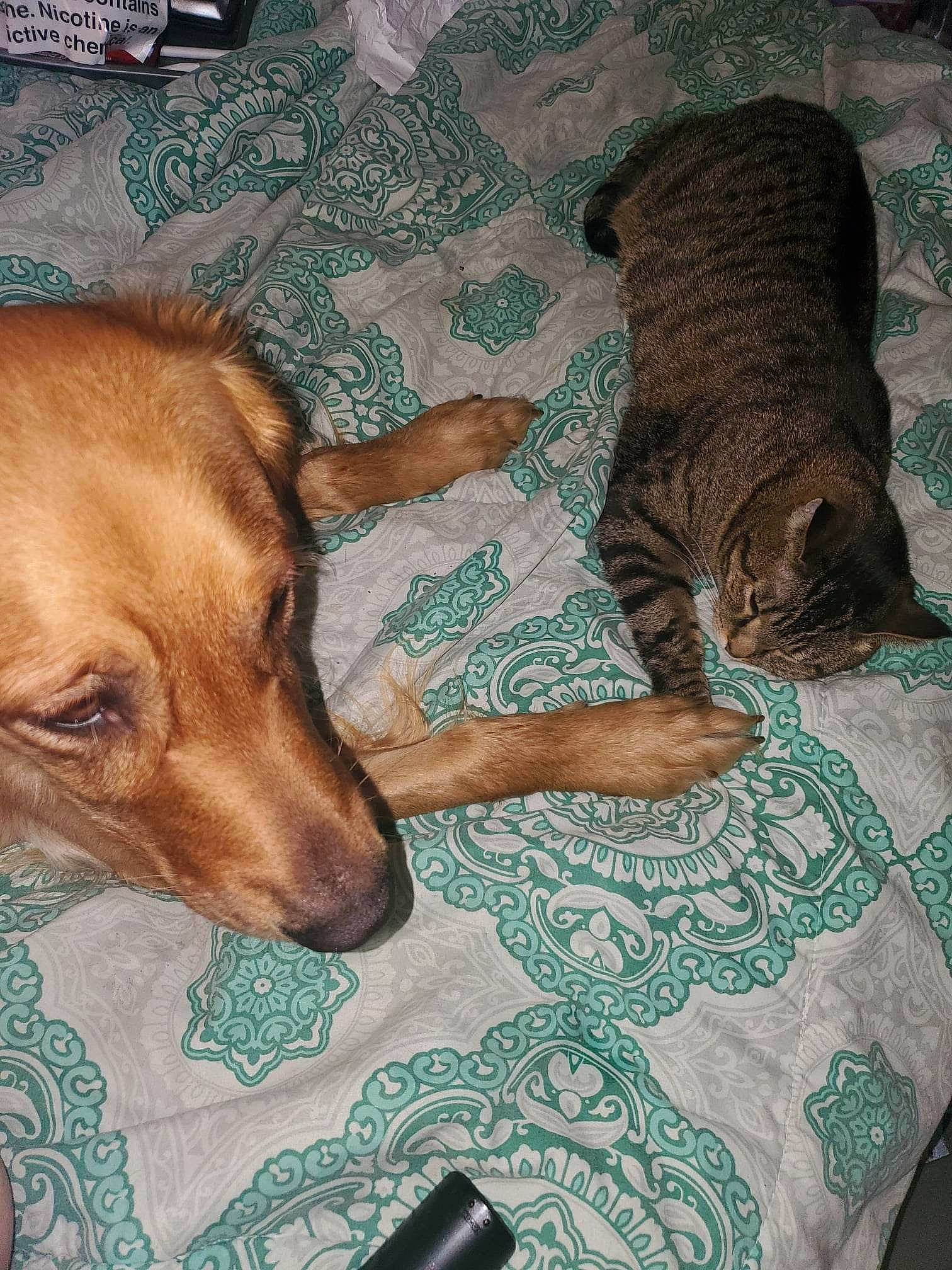 Princess Silver Moon