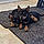 Roo And Ryder