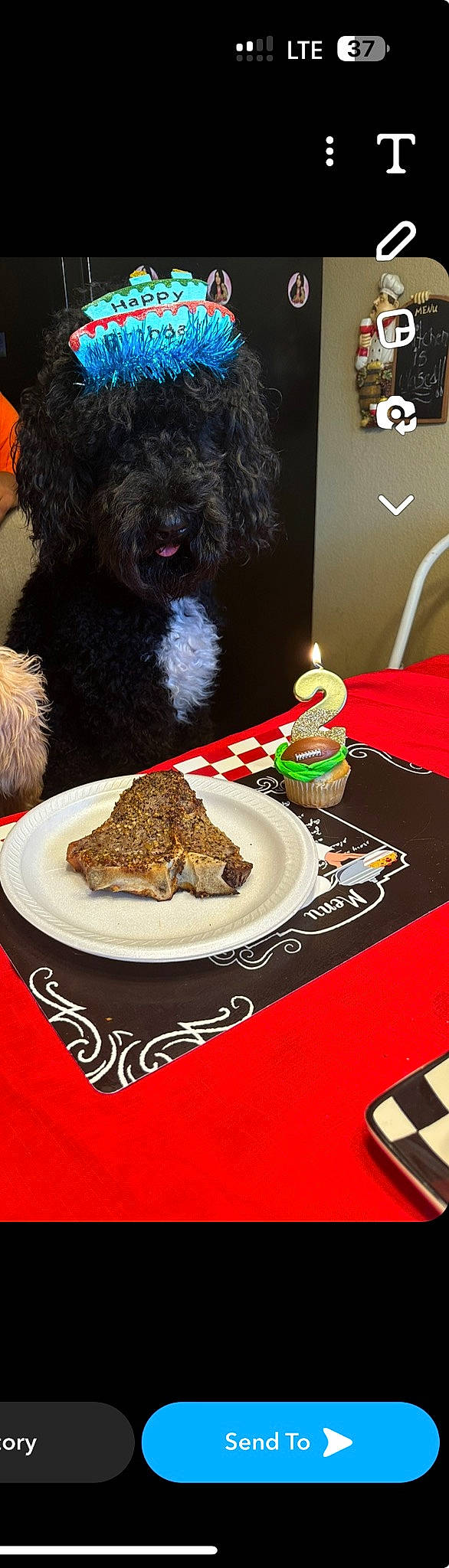 Zoku Dallas Martin joined the competition — help win amazing prizes! baked_goods, birthday_cake, cake, candle, carnivore, cuisine, dessert, dish, dishware, food, fork, ingredient, knife, plate, platter, recipe, serveware, sugar_cake, table, tableware