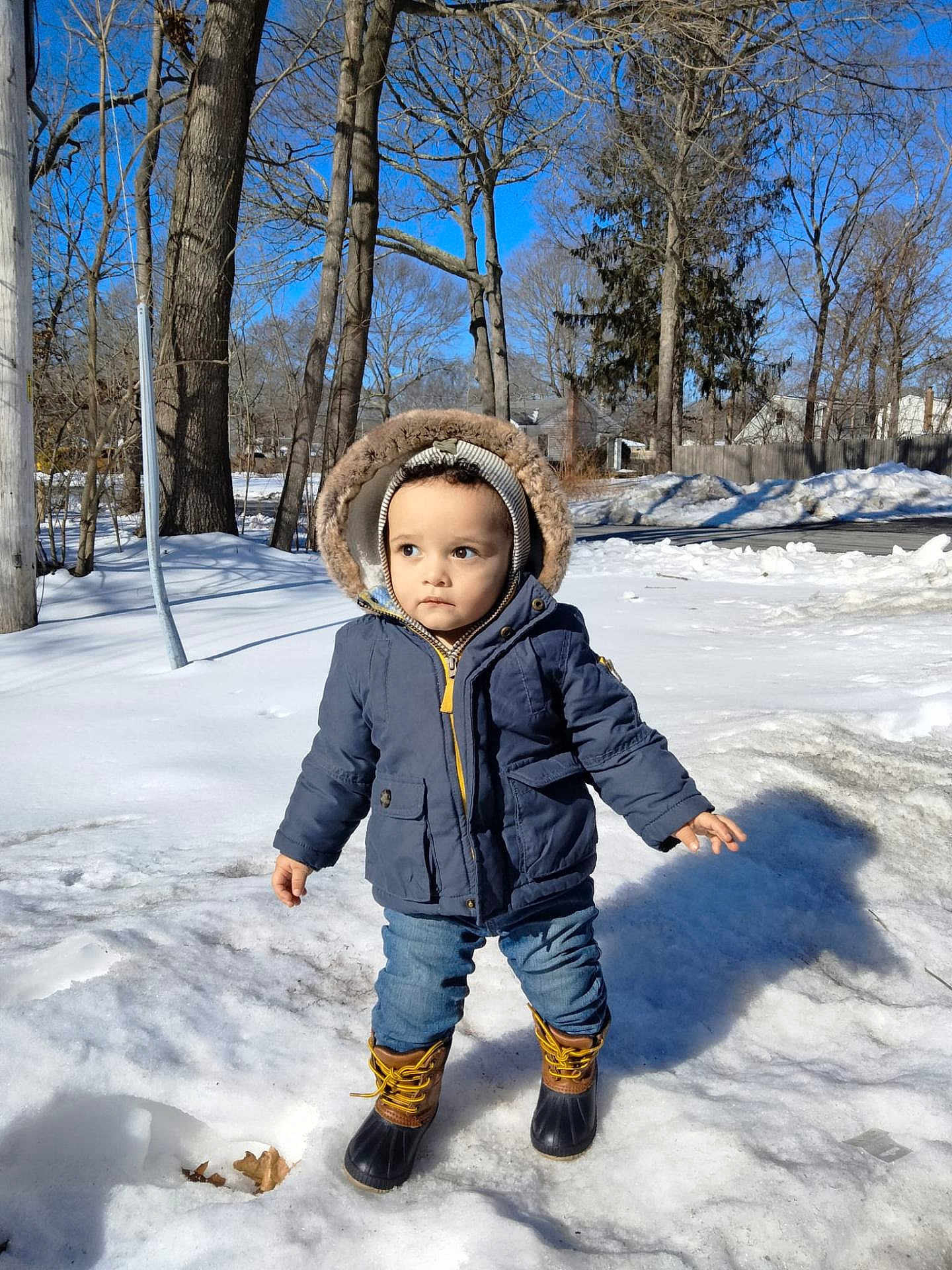 Oliver joined the competition — help win amazing prizes! child, toddler, hood, parka, winter_coat, snow, boots, jeans, outdoor, trees, blue_sky, shadow, sidewalk, backyard, cold_weather, portrait, standing, sunlight, curious_expression, playground