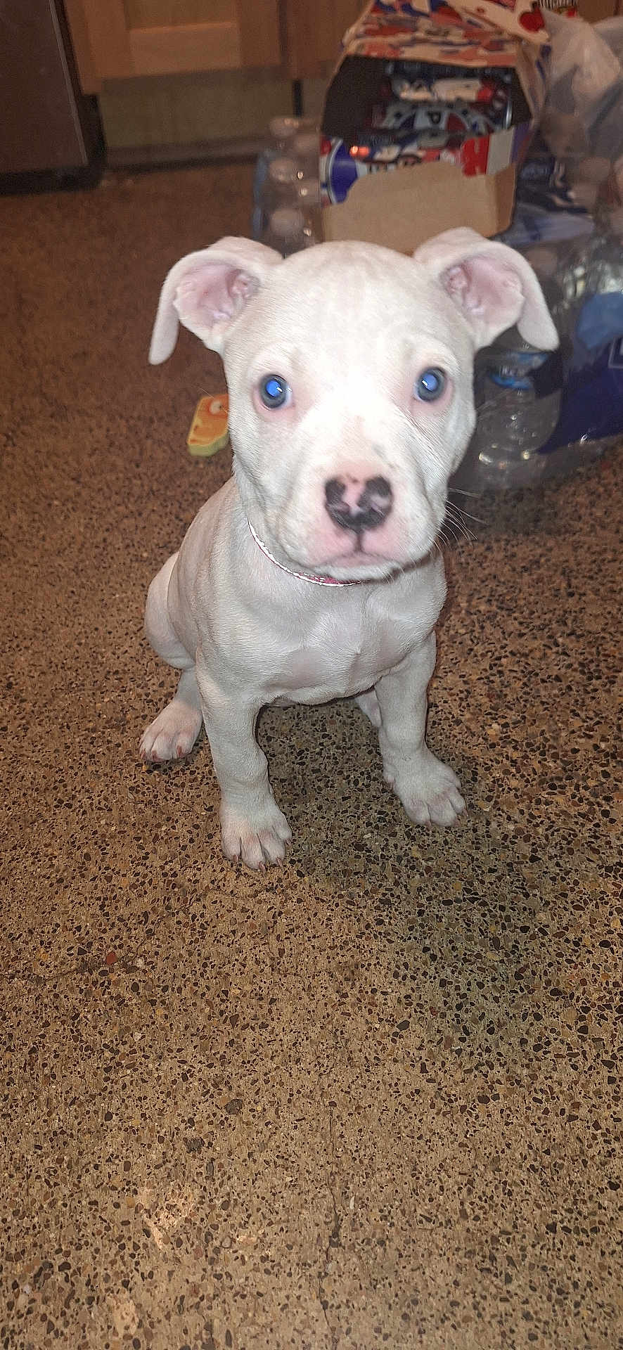 Minnie