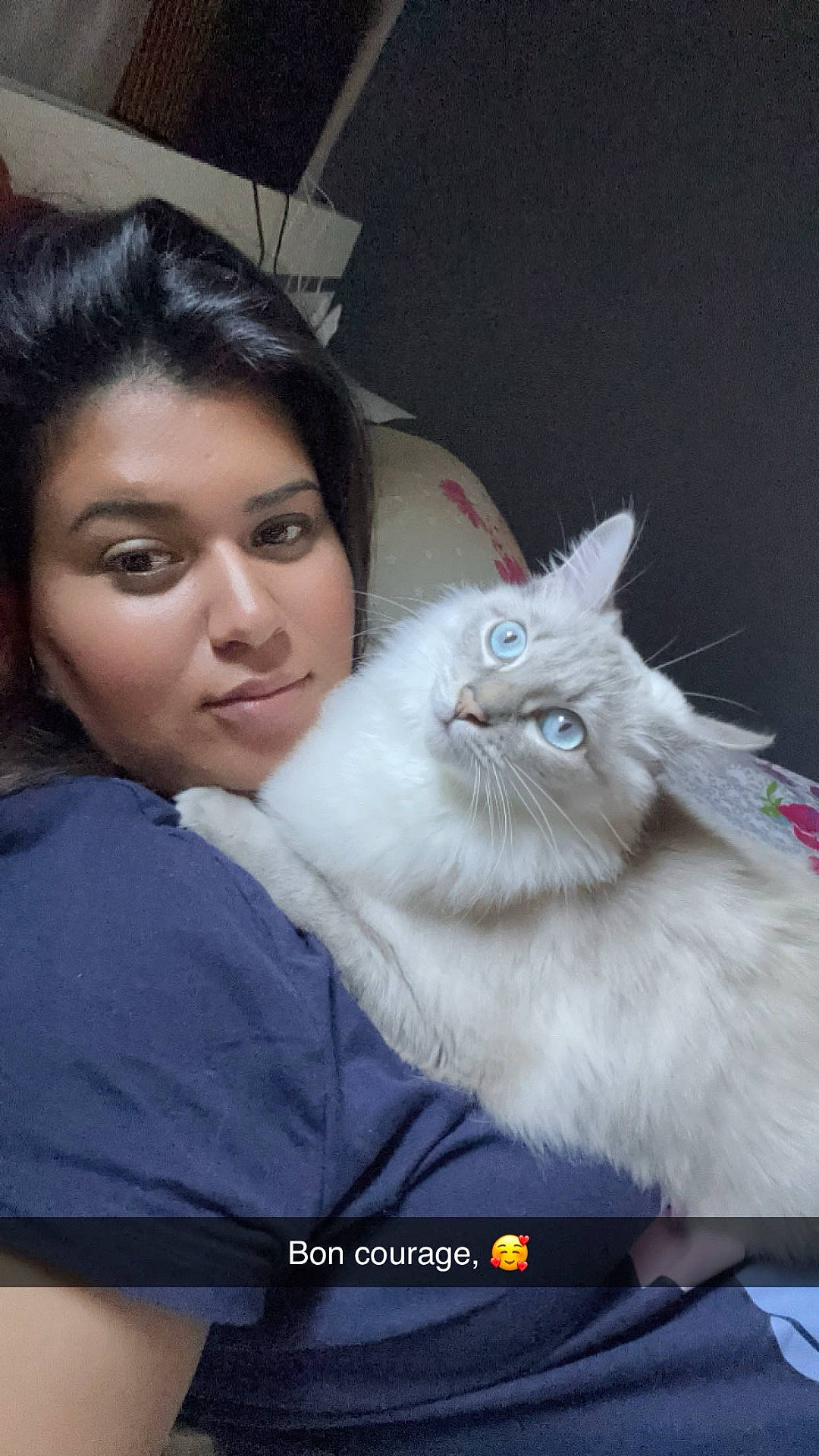 Sybelle a rejoint le concours — aidez-le/la à gagner de superbes lots ! affection, animal, blue_eyes, casual, cat, close_up, comfort, couch, dark_hair, face, feline, fluffy, home, indoor, laying, pet, portrait, relaxed, snuggle, woman