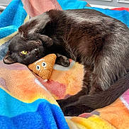 Cleo joined the competition — help win amazing prizes! black_cat, cat, pet, animal, plush_toy, poop_emoji_toy, blanket, colorful_blanket, indoor, cozy, yellow_eyes, fur, cute, playful, resting, curled_up, soft_texture, domestic_cat, sleepy, companion